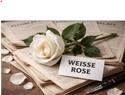 Veranstaltungsbild Sags mit Blumen...    Blumen und Pflanzen als Politische Symbole.